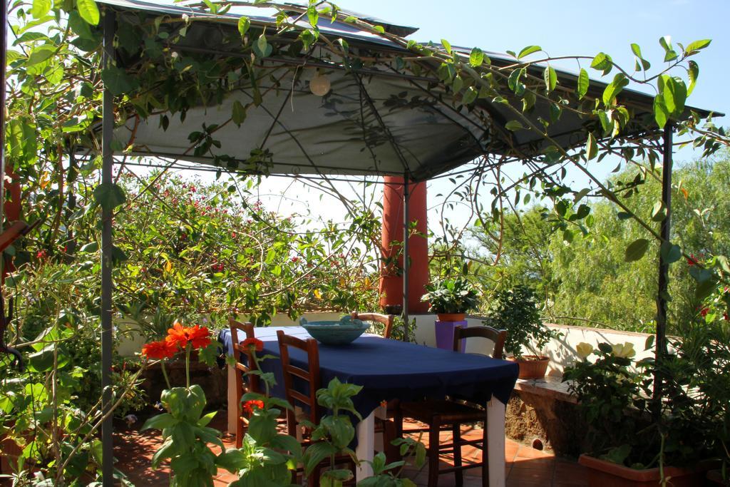 Alojamento de Acomodação e Pequeno-almoço Casa Terranova